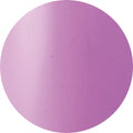 VL031 Angy Violet Vetro No.19 Pod Gel